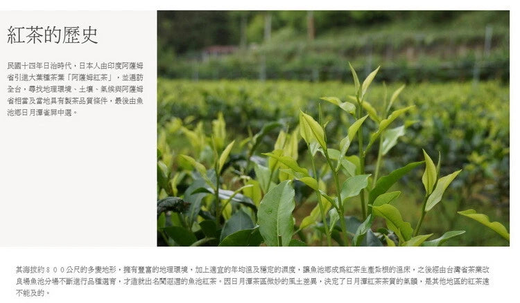 魾²¶] TAIWAN TEA No,18 Sun Moon Lake Black Tea Since 1938 (Select)